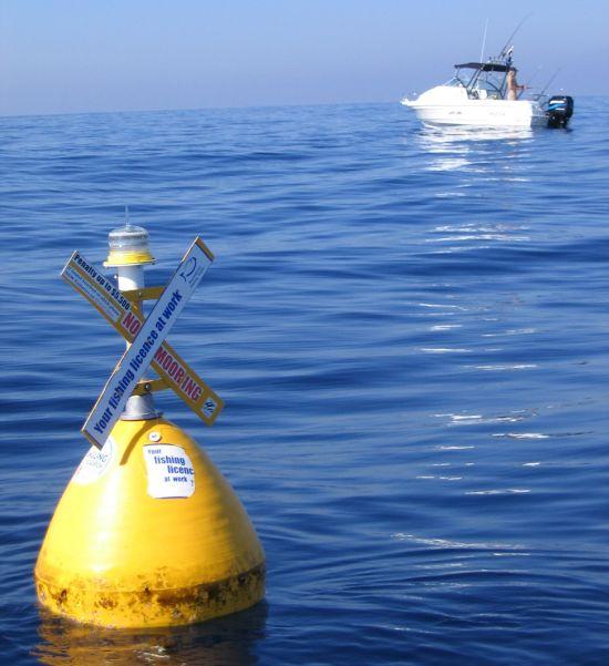 FADS give insight to fish behaviour